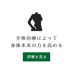 全体治療によって身体本来の力を高める