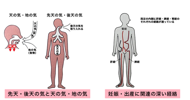 先天の気について